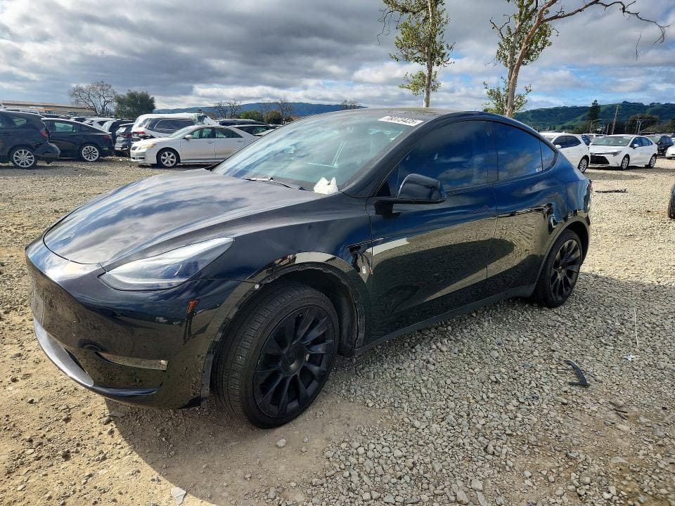 2021 TESLA MODEL Y - 1