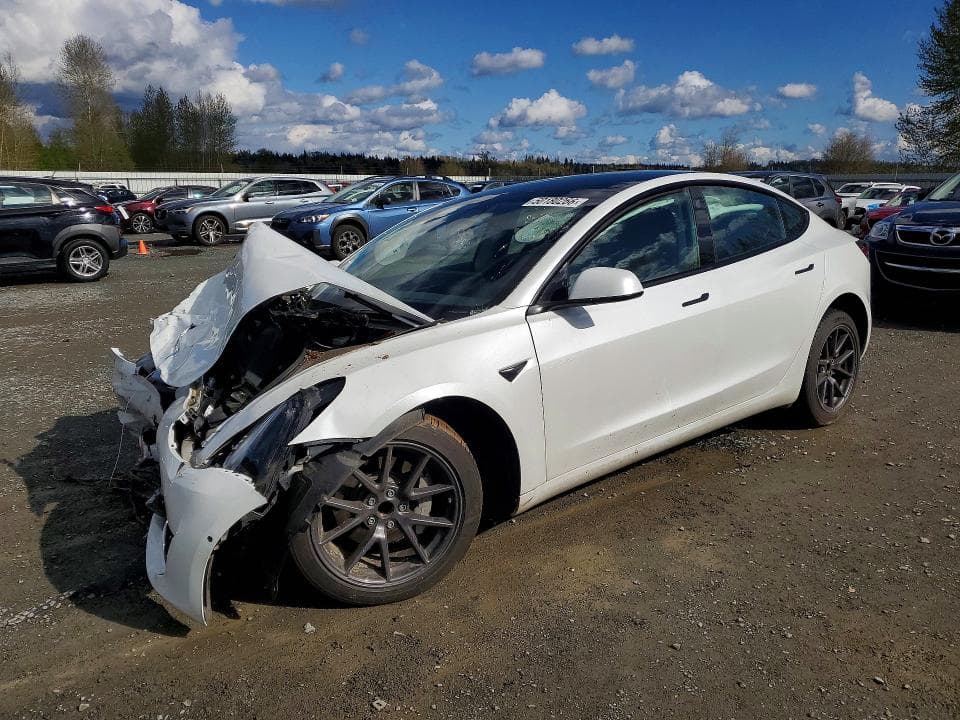 2021 TESLA MODEL 3 - 1