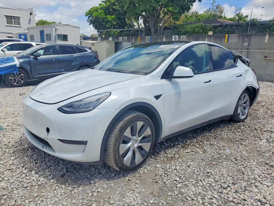 2021 TESLA MODEL Y - 1