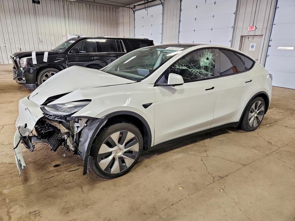 2021 TESLA MODEL Y - 1