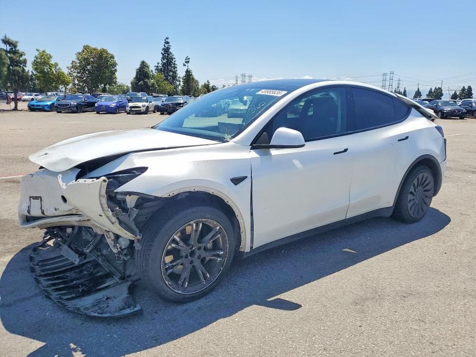 2021 TESLA MODEL Y - 1