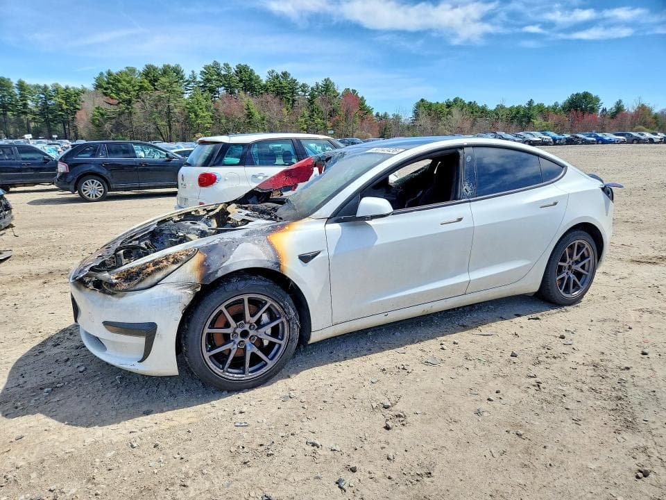 2020 TESLA MODEL 3 - 1