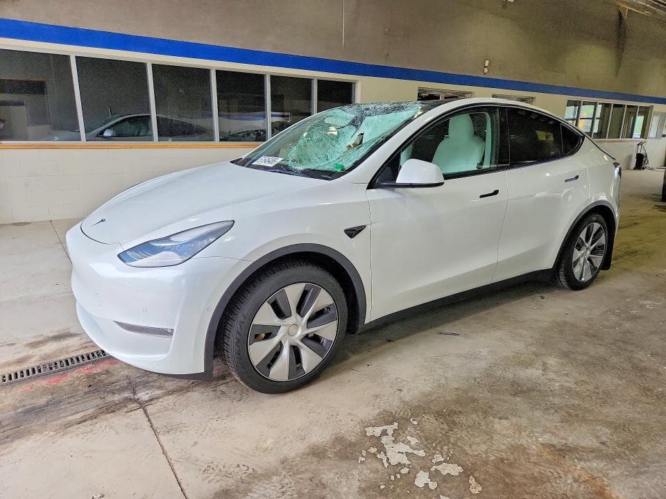 2021 TESLA MODEL Y - 1