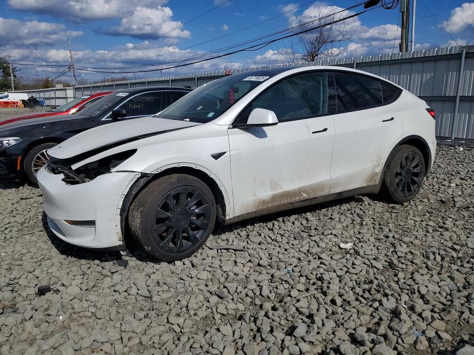 2021 TESLA MODEL Y - 1