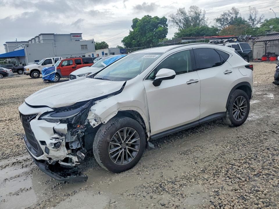2023 LEXUS NX 250 - 1