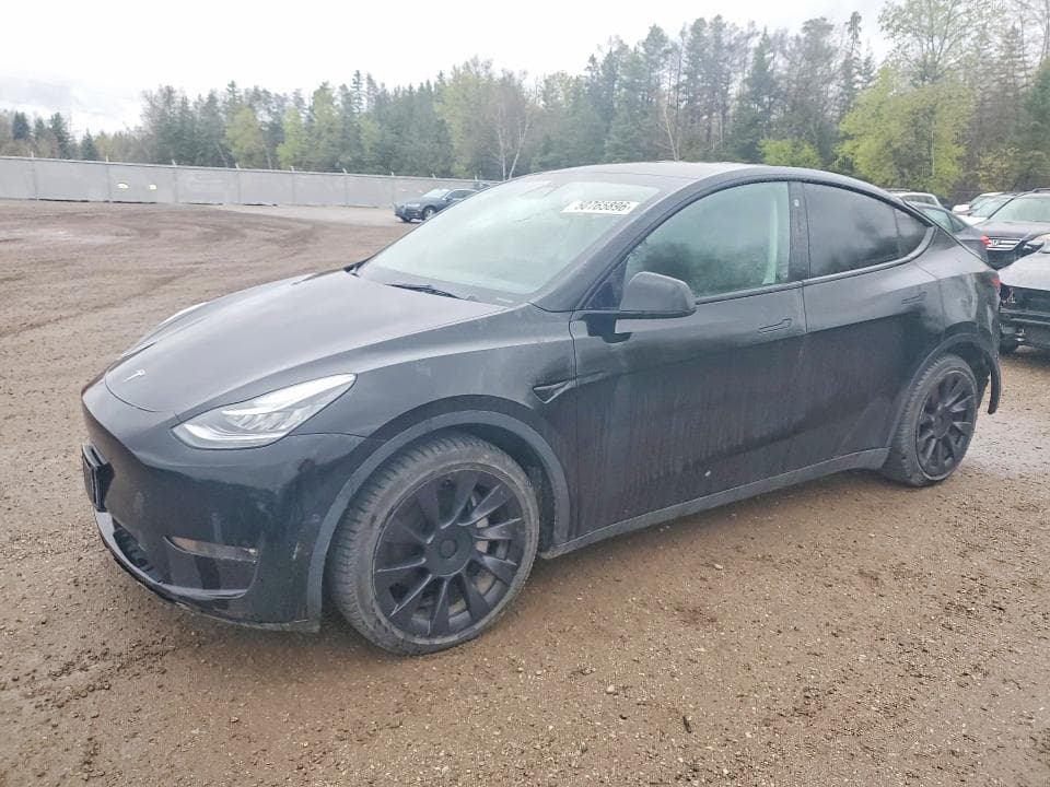 2021 TESLA MODEL Y - 1