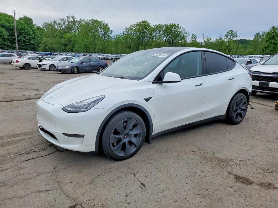 2021 TESLA MODEL Y - 1