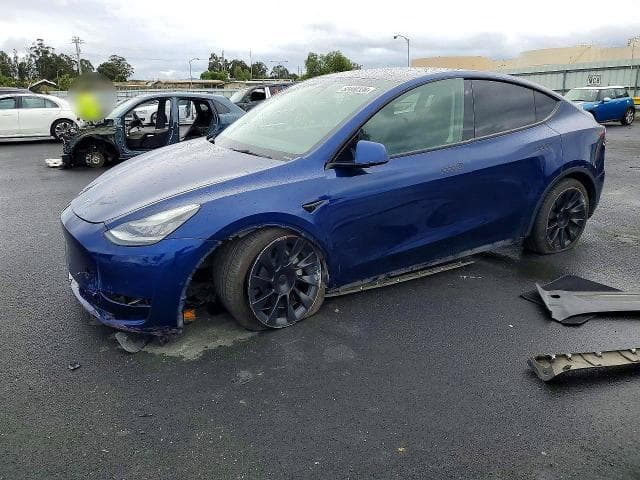 2021 TESLA MODEL Y - 1
