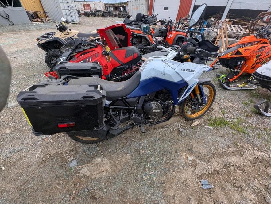 2024 SUZUKI DL800DE RC - 1