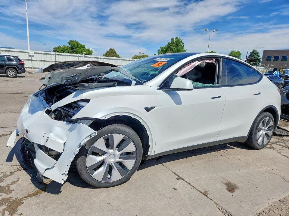 2023 TESLA MODEL Y - 1