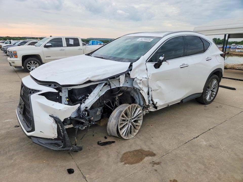 2023 LEXUS NX 350H 350H - 1