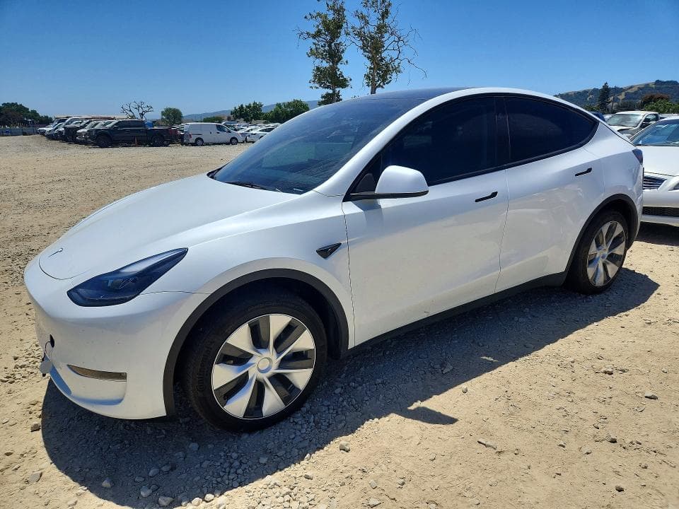 2023 TESLA MODEL Y - 1