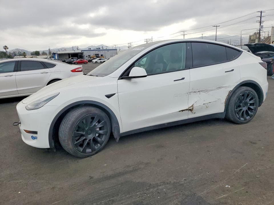 2021 TESLA MODEL Y - 1
