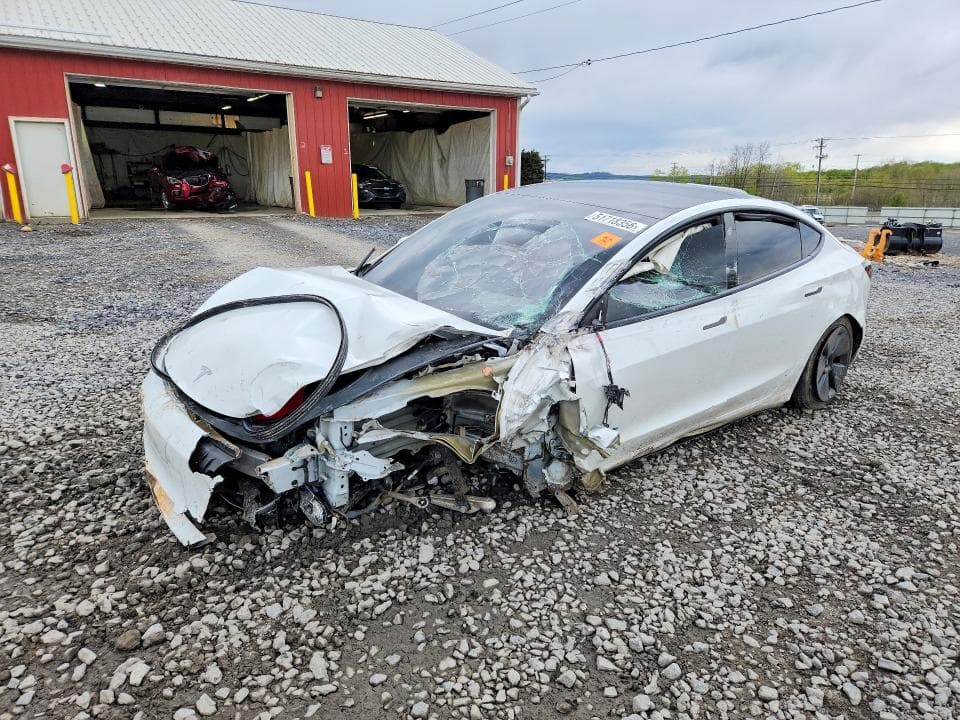 2021 TESLA MODEL 3 - 1