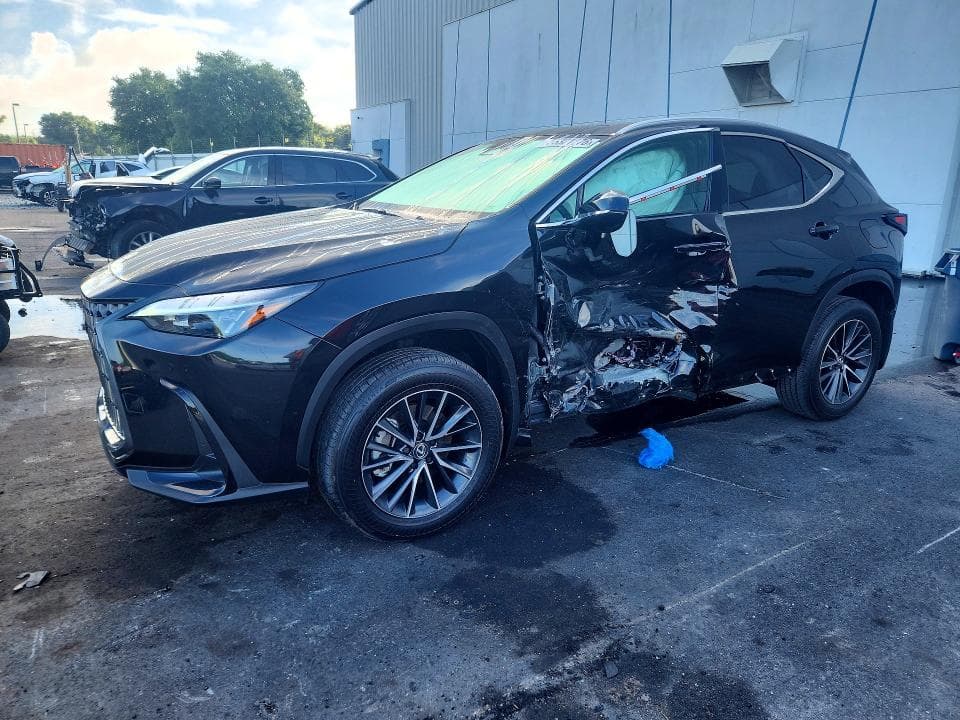 2025 LEXUS NX 250 PREMIUM - 1