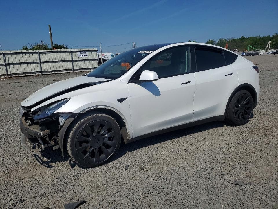 2021 TESLA MODEL Y - 1