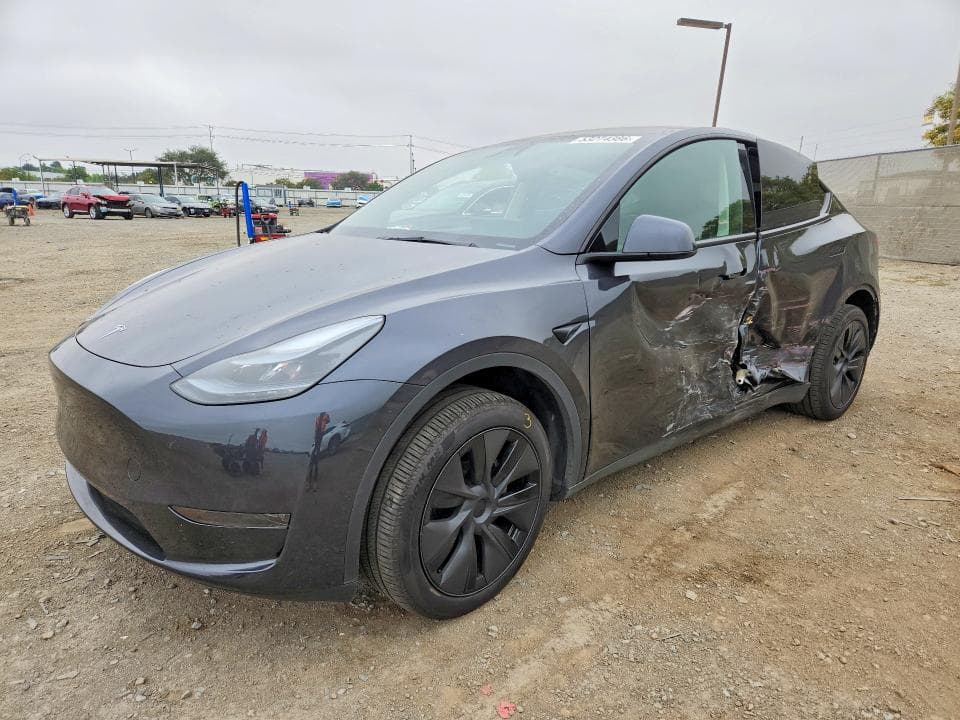 2025 TESLA MODEL Y - 1