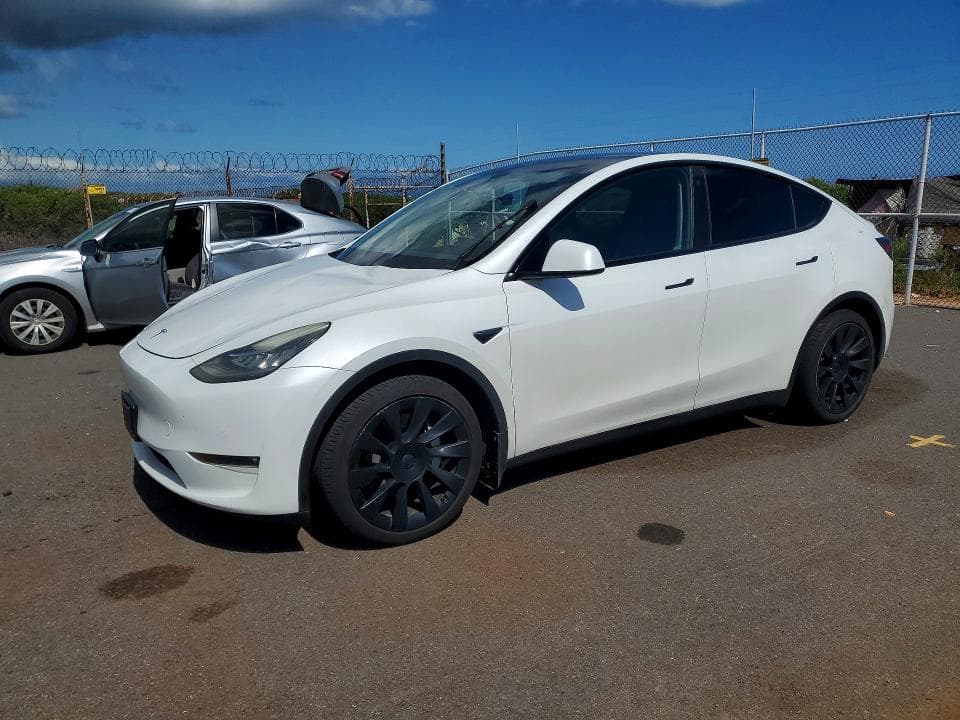 2021 TESLA MODEL Y - 1