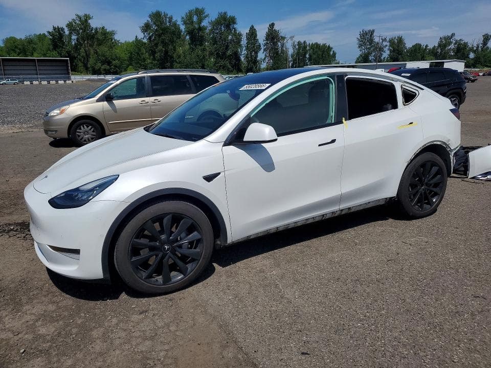 2021 TESLA MODEL Y - 1