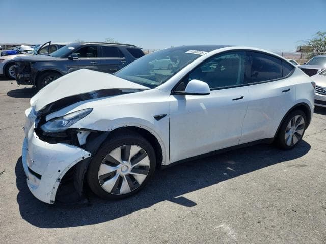 2021 TESLA MODEL Y - 1