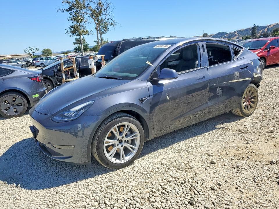 2021 TESLA MODEL Y - 1