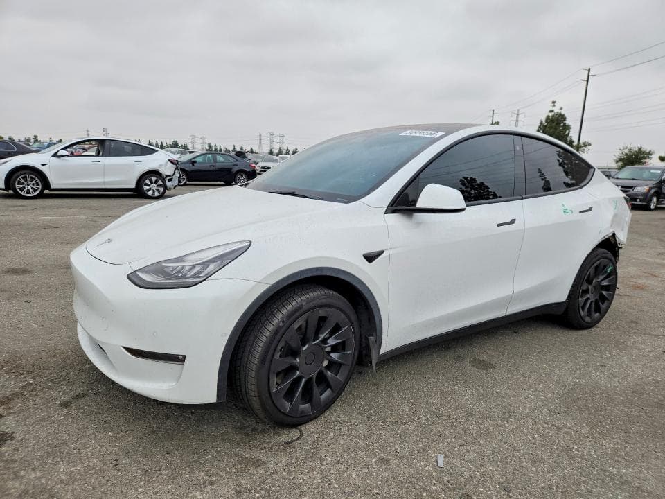 2021 TESLA MODEL Y - 1
