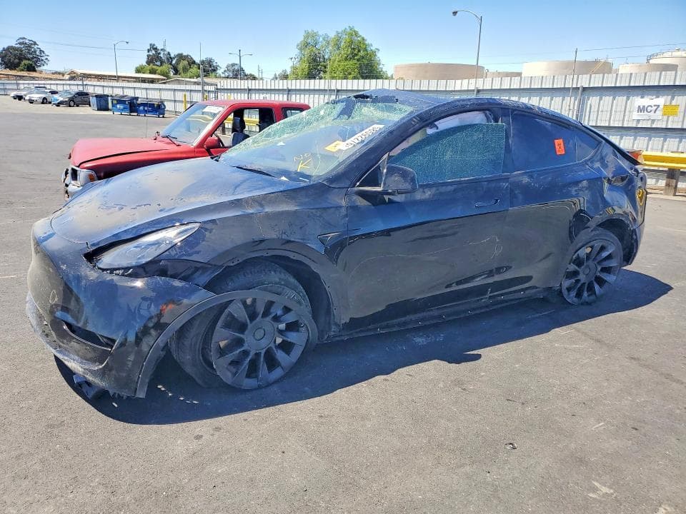2024 TESLA MODEL Y - 1
