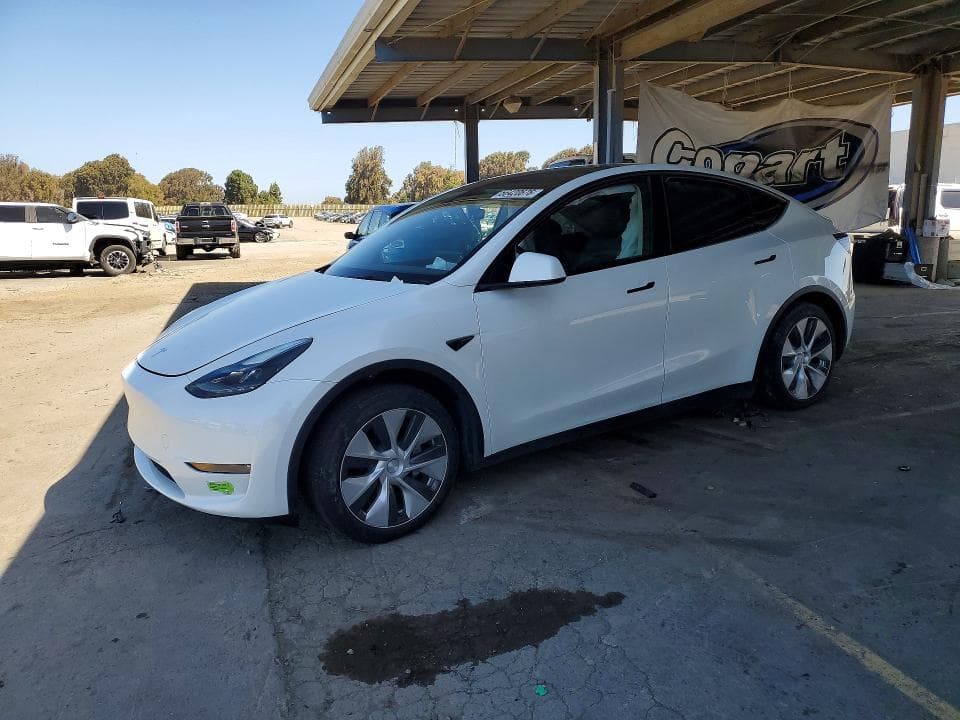 2023 TESLA MODEL Y - 1