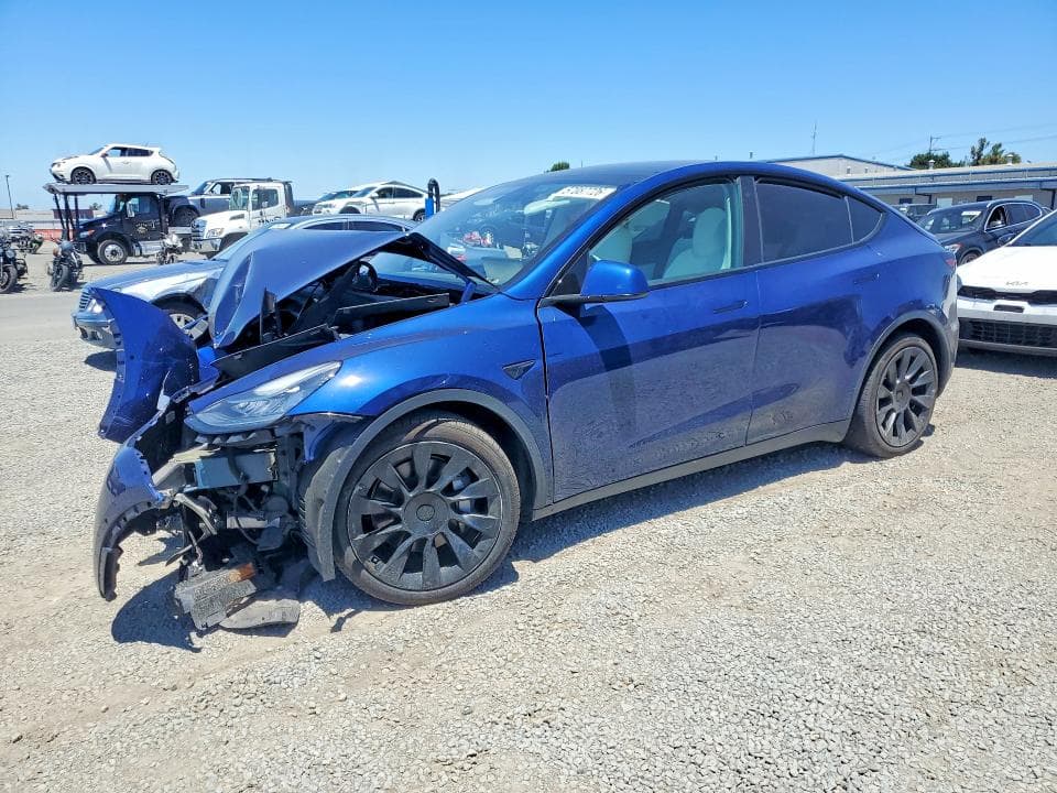 2021 TESLA MODEL Y - 1