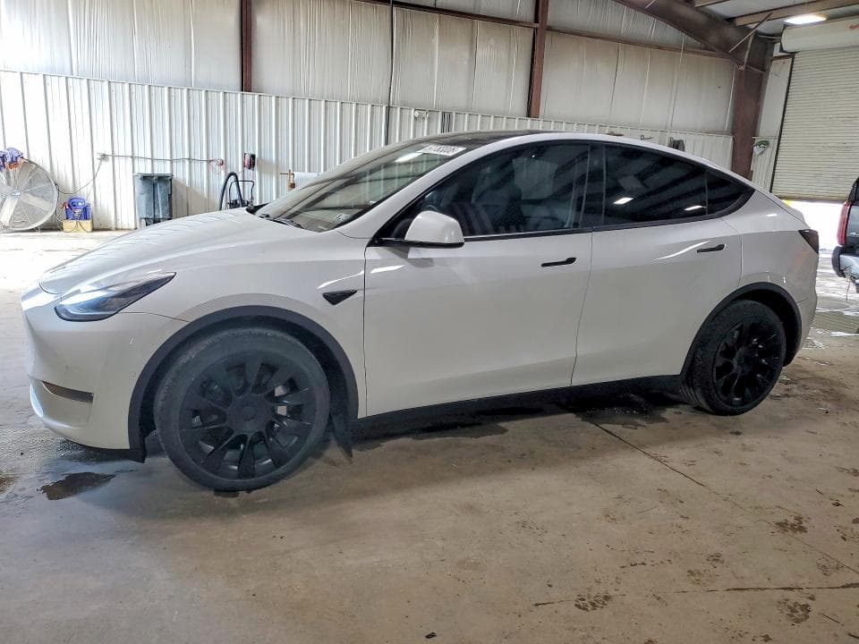 2020 TESLA MODEL Y - 1