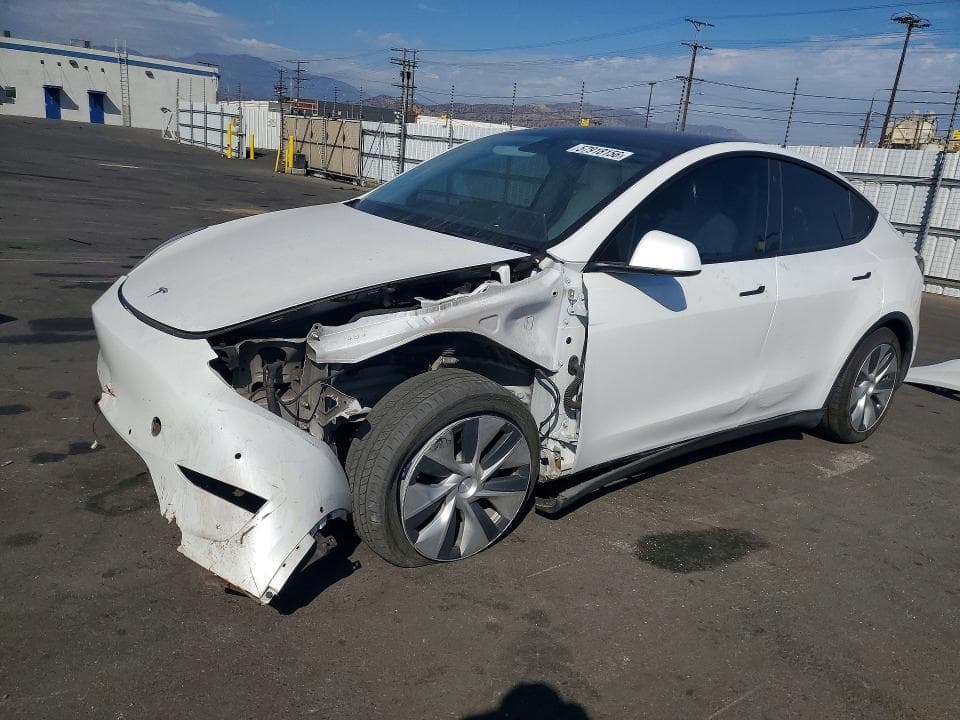 2021 TESLA MODEL Y - 1