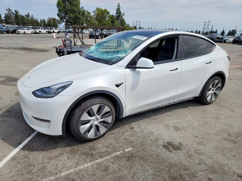 2022 TESLA MODEL Y - 1