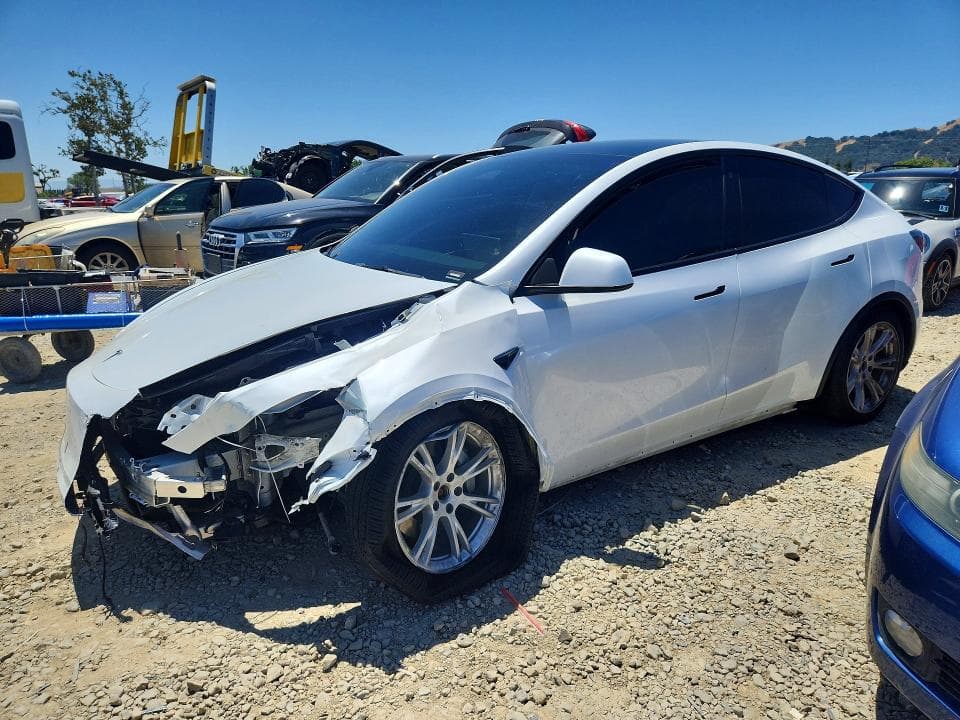 2023 TESLA MODEL Y - 1