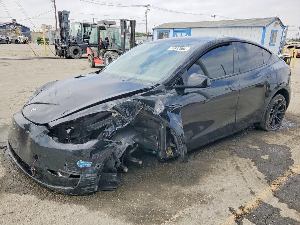 2021 TESLA MODEL Y - 1