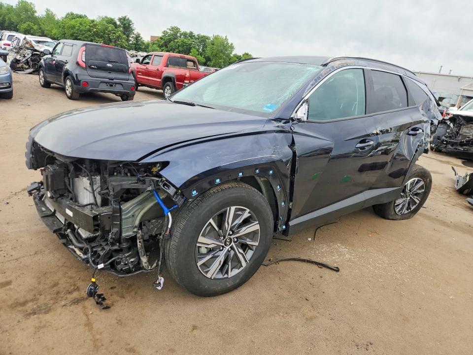 2024 HYUNDAI TUCSON BLUE - 1