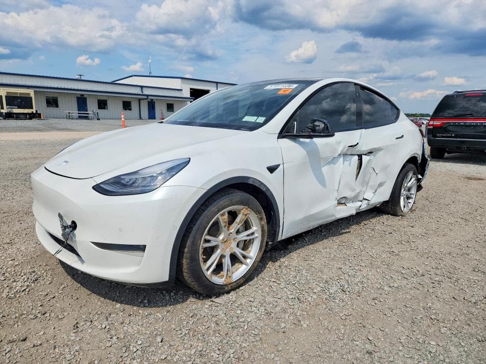 2020 TESLA MODEL Y - 1