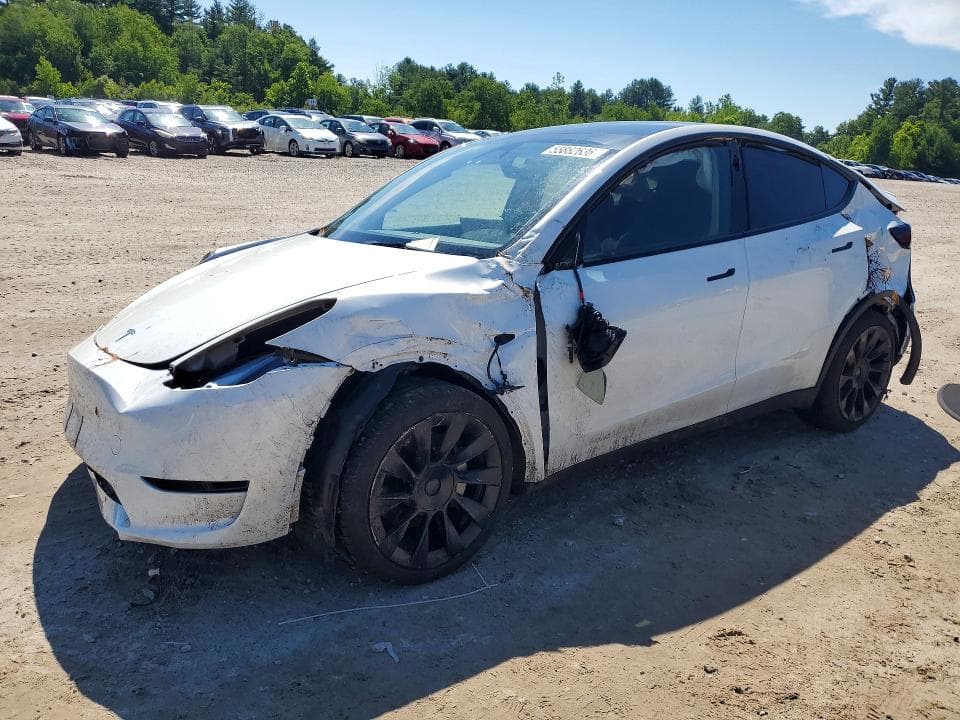 2023 TESLA MODEL Y - 1