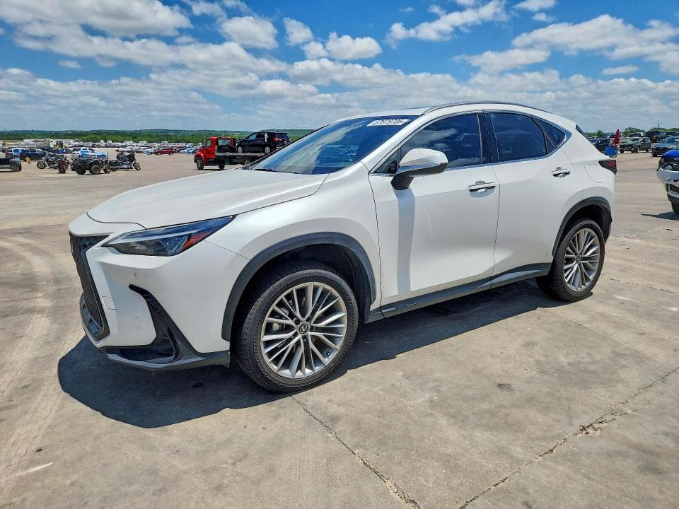 2022 LEXUS NX 350H - 1