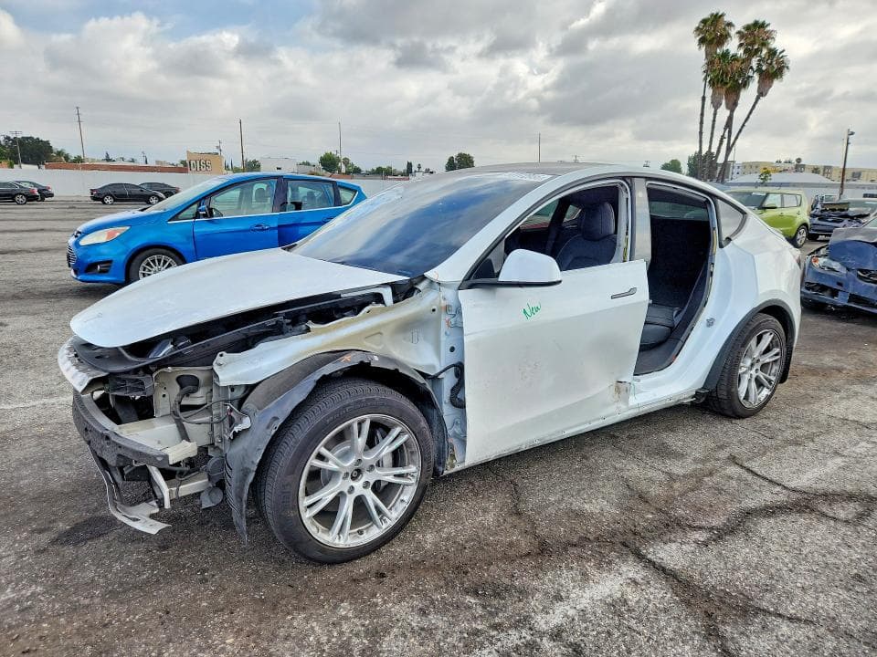 2021 TESLA MODEL Y - 1