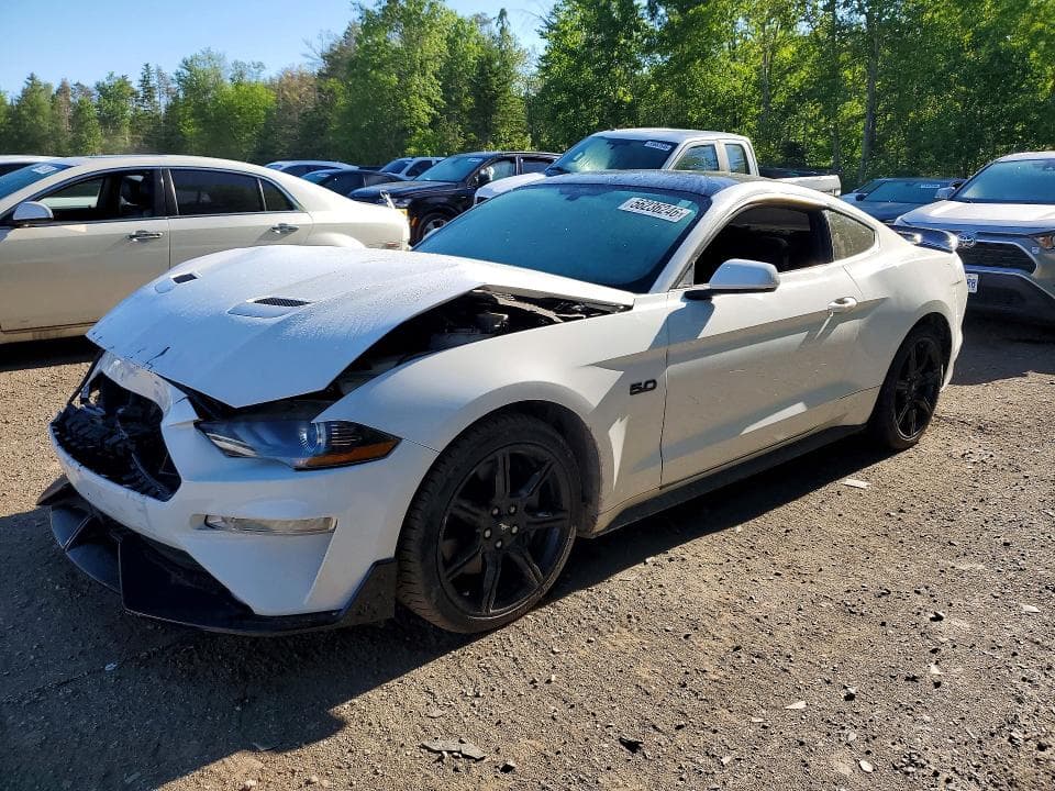 2019 FORD MUSTANG GT - 1