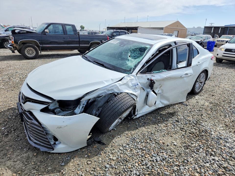 2020 TOYOTA CAMRY XLE - 1