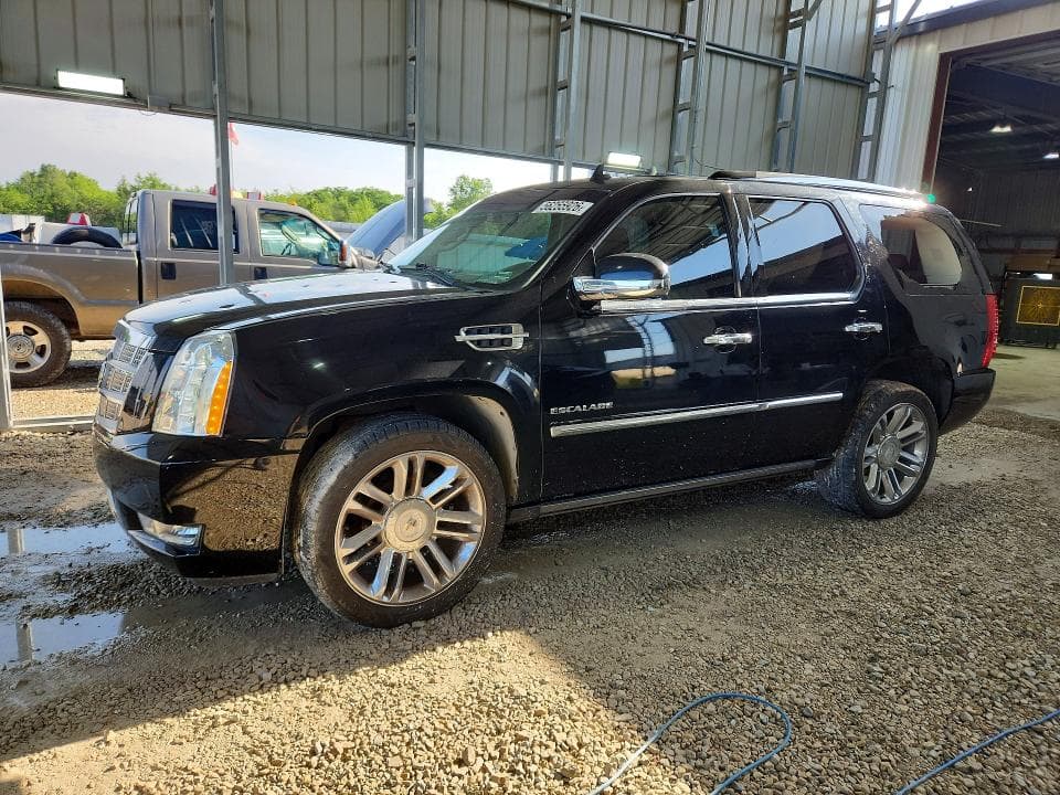 2010 CADILLAC ESCALADE PLATINUM - 1