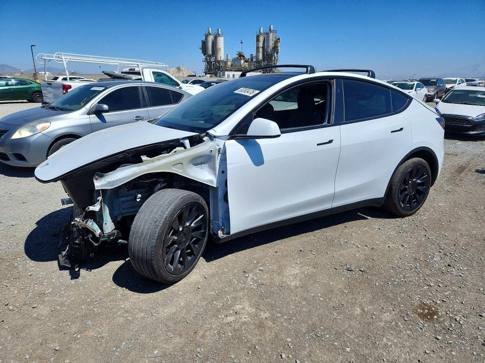 2024 TESLA MODEL Y - 1