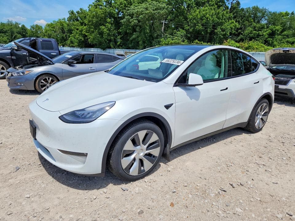 2020 TESLA MODEL Y - 1