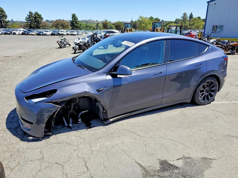 2023 TESLA MODEL Y - 1