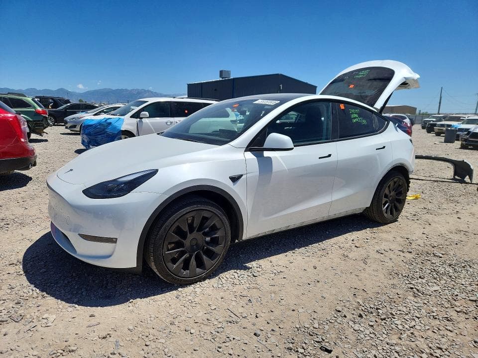 2025 TESLA MODEL Y - 1
