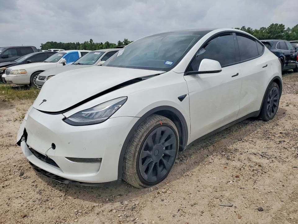 2021 TESLA MODEL Y - 1