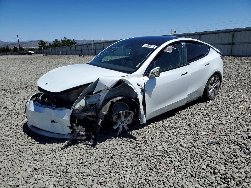 2024 TESLA MODEL Y - 1