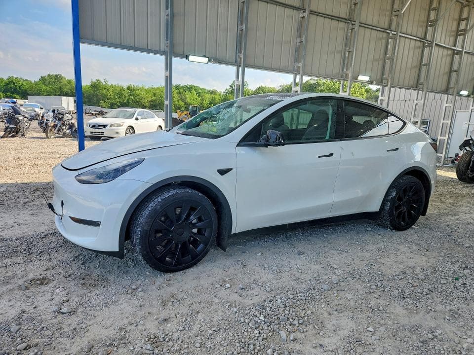 2023 TESLA MODEL Y - 1
