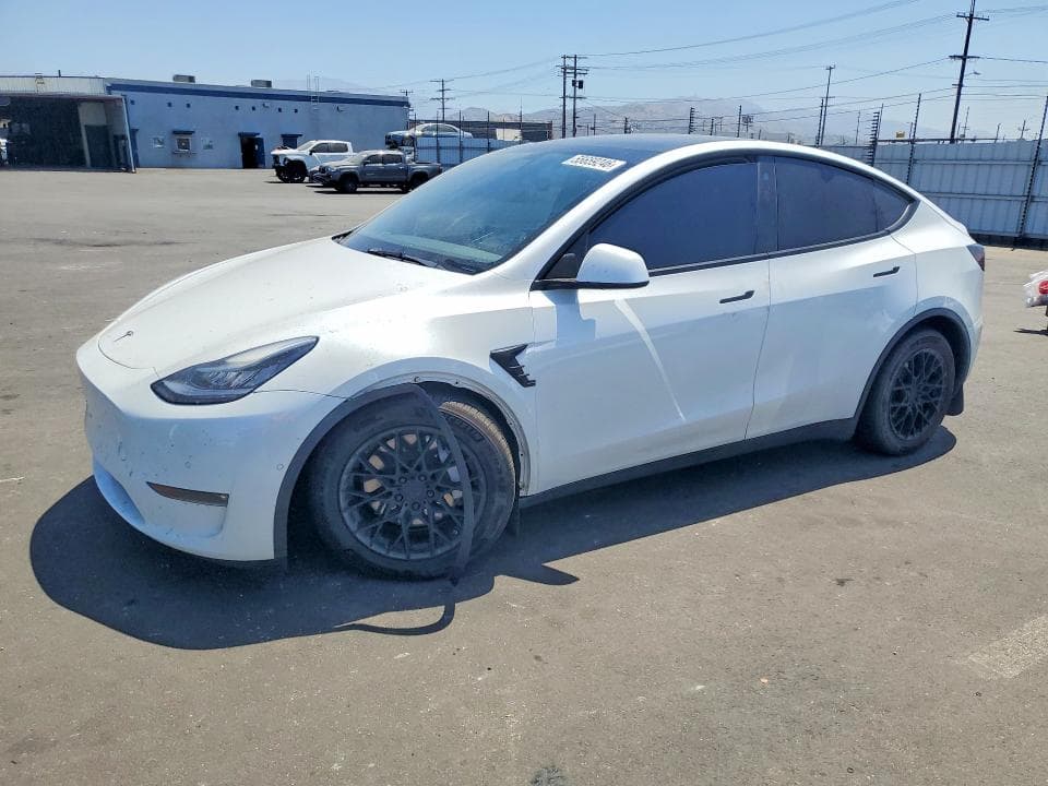 2021 TESLA MODEL Y - 1